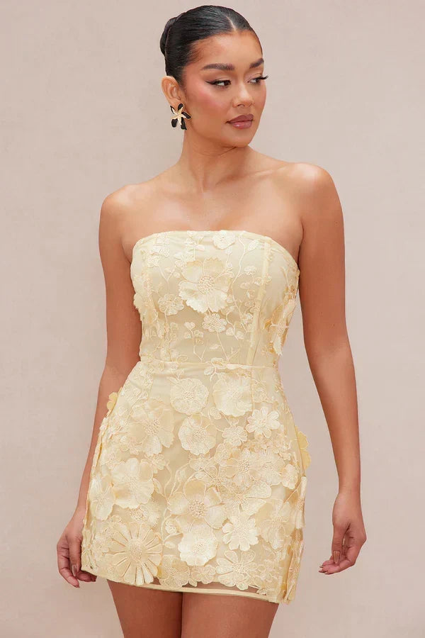 Marcella Embroidered A-Line Mini Dress - Yellow